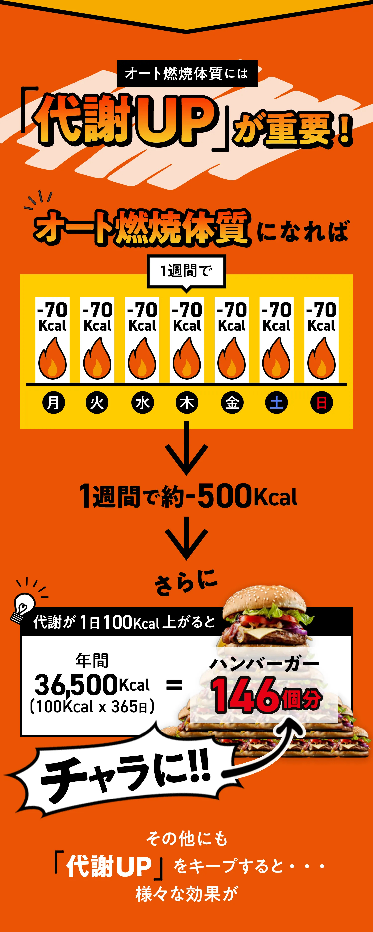 オート燃焼体質には「代謝UP」が重要！