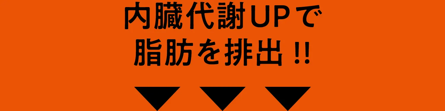 内蔵代謝UPで 脂肪を排出!!